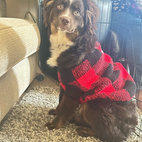 Cozy Printed Sweater for Pets - Picture 9 of 12